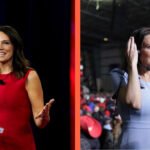 Tudor Dixon Measurements